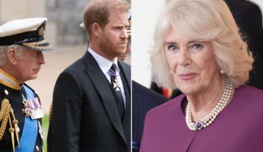How Queen Camilla Feels About King Charles and Prince Harry’s Royal Rift (Exclusive)