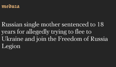 Russian single mother sentenced to 18 years for allegedly trying to flee to Ukraine and join the Freedom of Russia Legion - Meduza