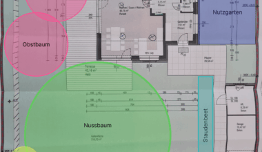 Nussbaum im Garten eine gute Idee?