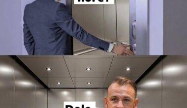 Trefné