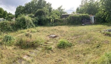 Verwahrlosten Schrebergarten übernommen, wie würdet ihr anfangen?