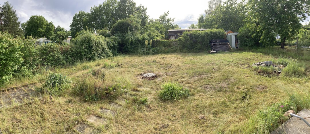 Verwahrlosten Schrebergarten übernommen, wie würdet ihr anfangen?