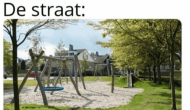 Average Dutch hood