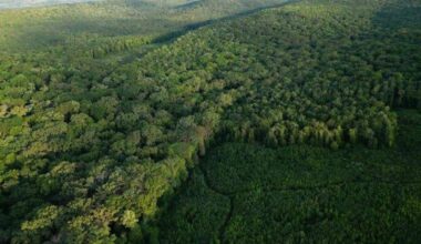 Top natural retreats to visit in Moldova 