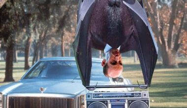 Live look at Stephen Miller camped out in front of Elon Musk's house trying to get his wife back