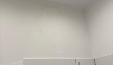 What kind of stain is that?