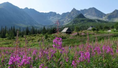 Poland voted fifth best place in the world for stunning scenic views