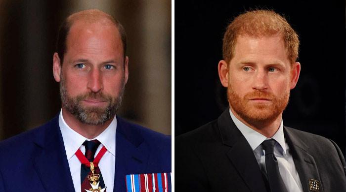 Prince William gives unexpected reply Prince Harry reconciliation plea