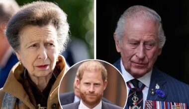 Princess Anne makes surprising plea to King Charles about Prince Harry
