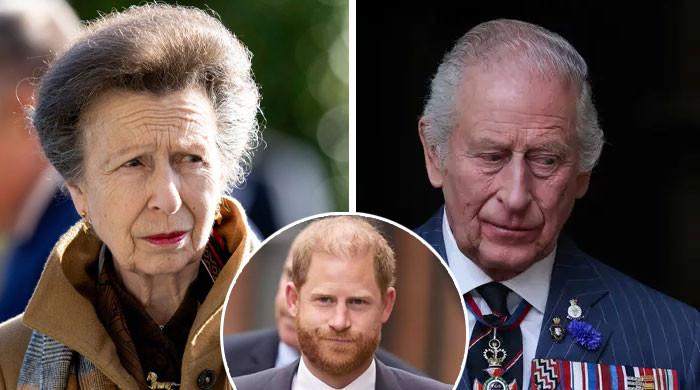 Princess Anne makes surprising plea to King Charles about Prince Harry