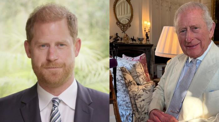 Prince Harry promotes 'healing as family' after King Charles special message