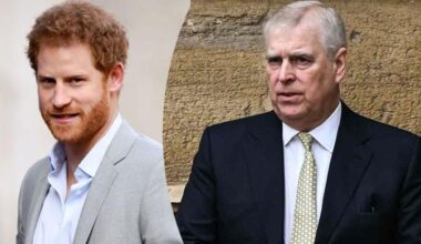 Prince Andrew is starting to come into Prince Harry's corner?