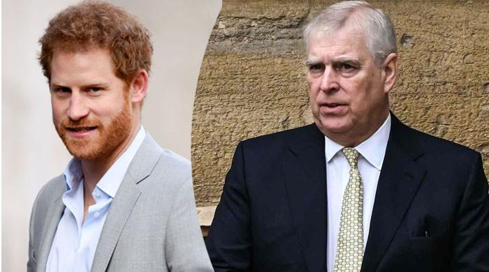 Prince Andrew is starting to come into Prince Harry's corner?