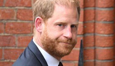 Prince Harry's issues with his brother land him a scathing take down