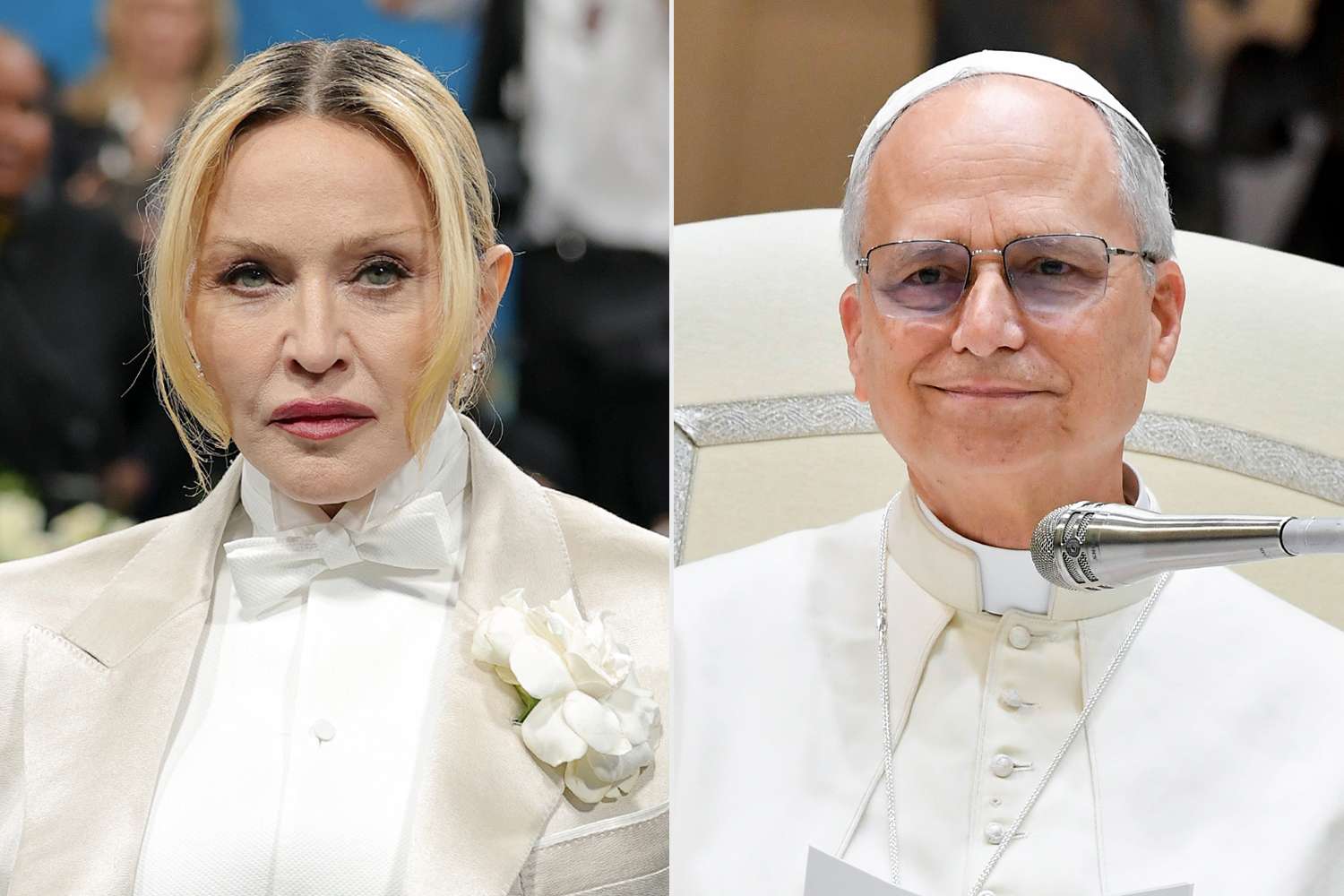 Pope Leo XIV related to Madonna, 'Finding Your Roots' discovers