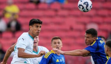 Stamenic hits target as All Whites fall to Ukraine