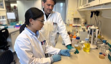 Forskningsgennembrud: Nu kan vi halvere prisen på dyrt kræftmiddel