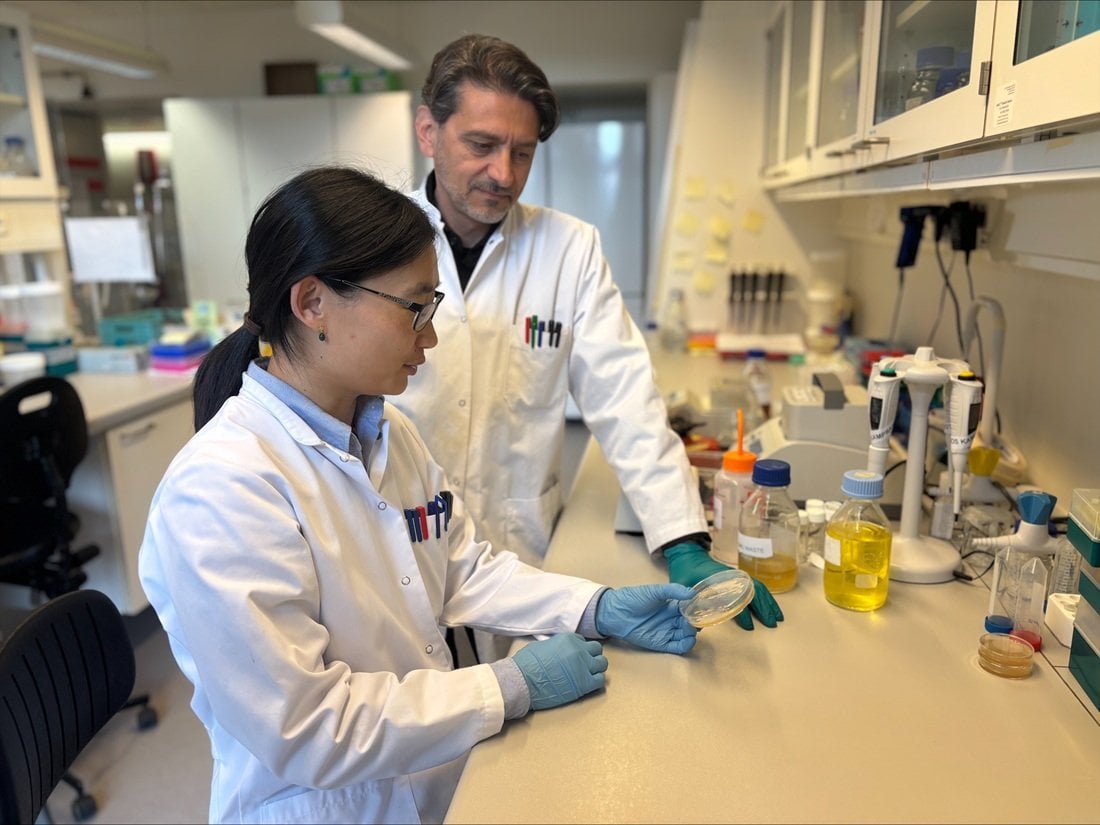 Forskningsgennembrud: Nu kan vi halvere prisen på dyrt kræftmiddel