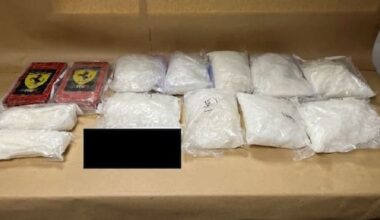 $24m meth, cocaine seized — 18 arrests