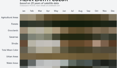 [OC] I took the mean of 20 years of satellite data to calculate the mean color of earth