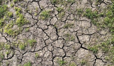 The areas at risk of drought as 35°C heatwave looms