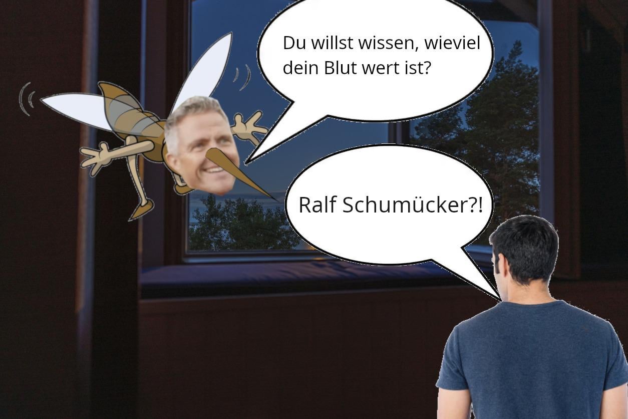 ich🦟iel