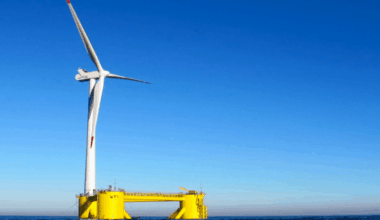 Moratoire sur les énergies renouvelables. "La droite et le RN ont perdu tout sens commun", fustige France Nature Environnement