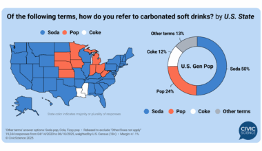 Soda, pop, or coke? What Americans call fizzy drinks [OC]