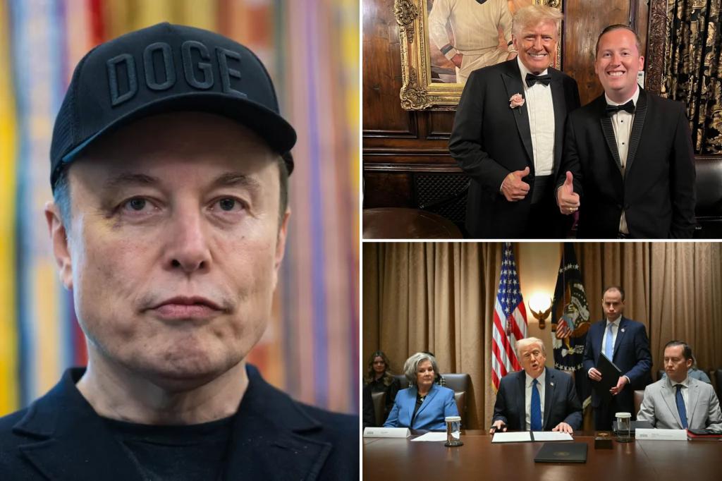 Elon Musk rips Trump personnel director Sergio Gor as 'a snake'
