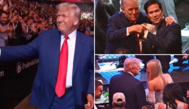 Trump arrives at UFC 316 to 'USA!' cheers amid Elon Musk spat fallout