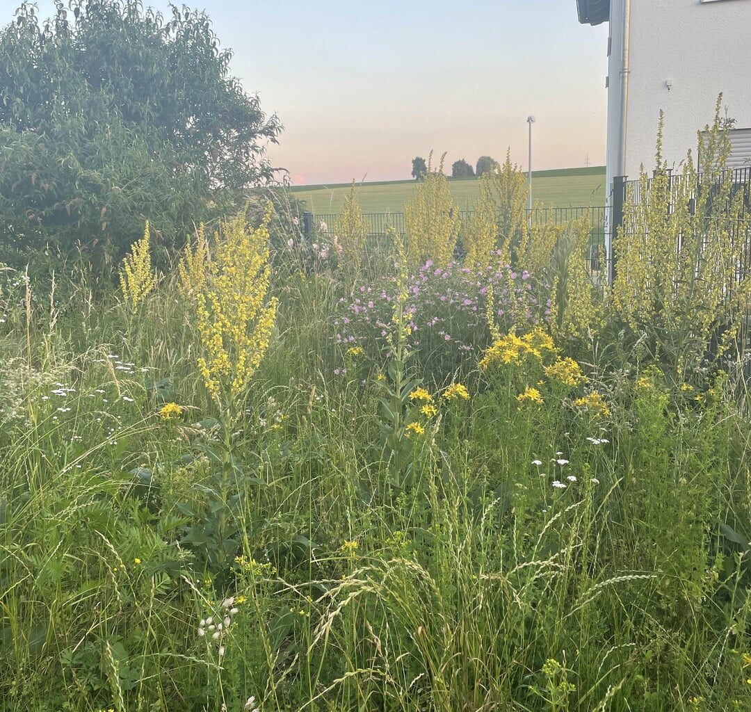 Lass die Natur einfach mal machen