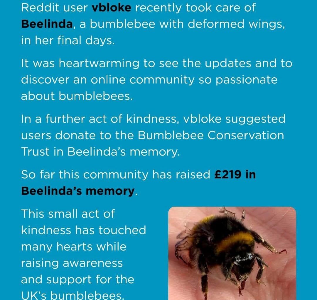 A thank you to r/CasualUK from the Bumblebee Conservation Trust