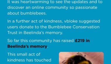 A thank you to r/CasualUK from the Bumblebee Conservation Trust