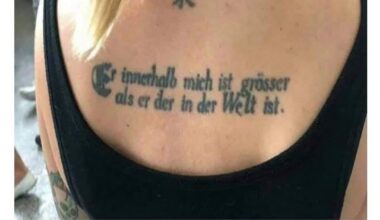 Zitat, Gänsehose