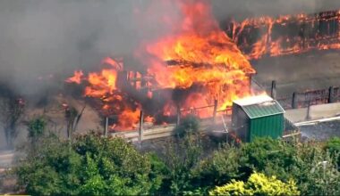 Wildfire risk warning as London set for hotter than usual summer