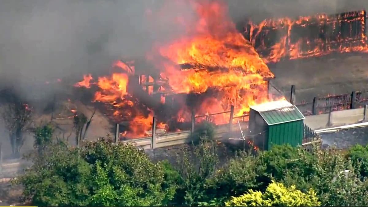 Wildfire risk warning as London set for hotter than usual summer