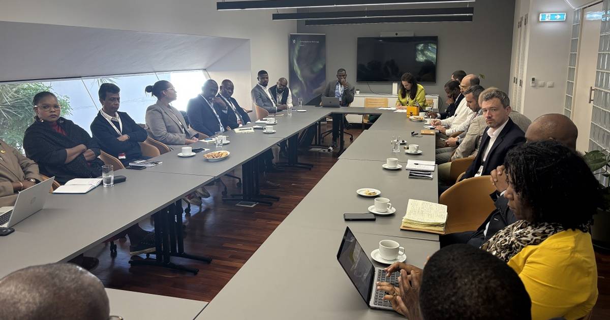 RUSI and Embassy of the Kingdom of Norway in Maputo Present OCTA Project Findings