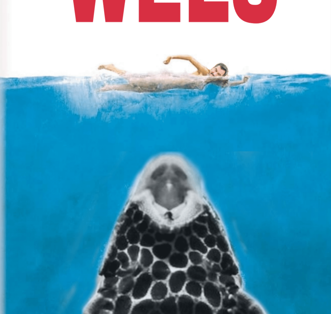 ich🦈iel
