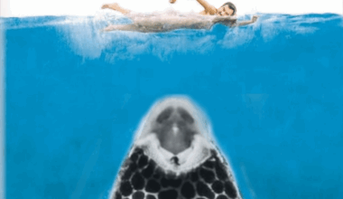 ich🦈iel