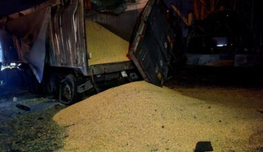 Ukraine to seek EU sanctions against Bangladesh over Russia-stolen grain import