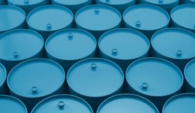 US will not complete scheduled deliveries of crude oil into the SPR until the end of year