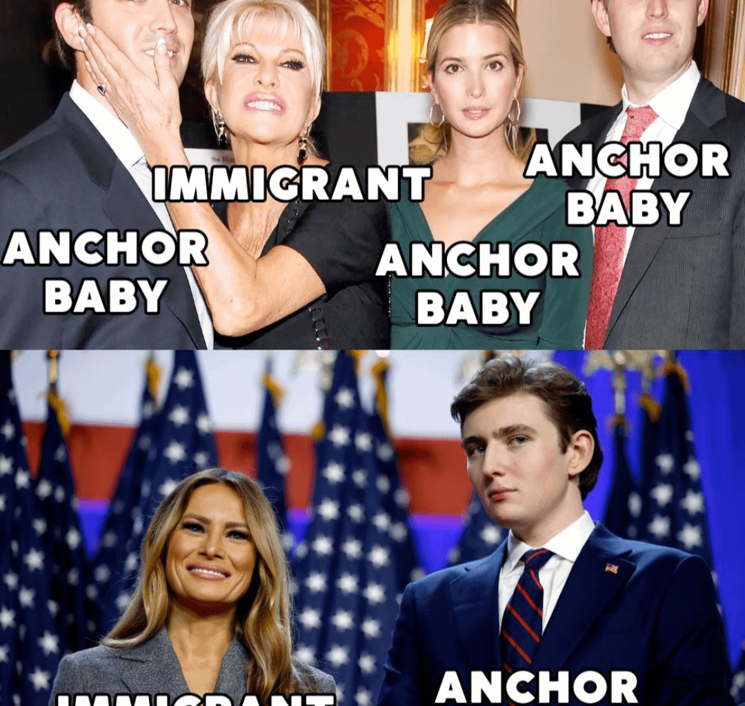 Will the real anchor baby, please stand up?