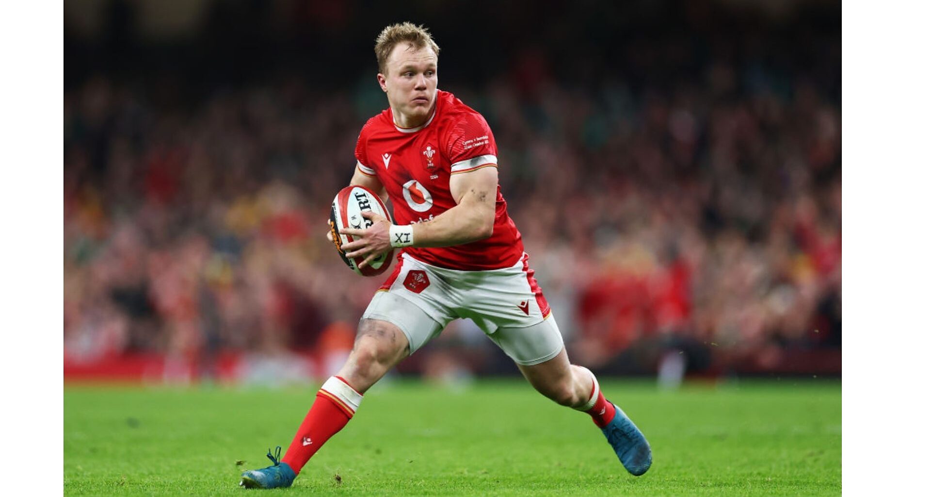 BBC and S4C secure rights for live coverage of Japan v Wales this summer