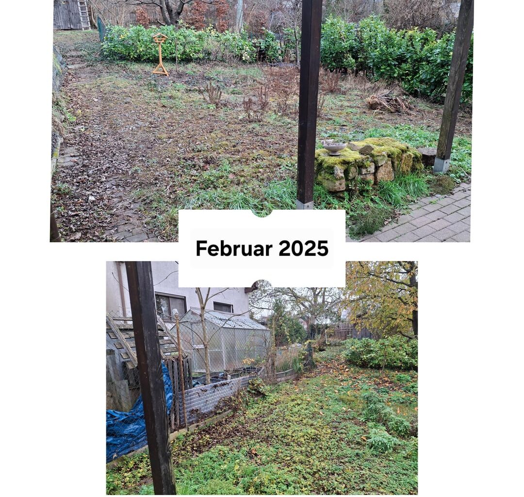 Mein Gartenprojekt