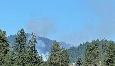 Coeur d'Alene firefighters and police injured in Idaho shooting ambush after suspect 'started blaze as bait'