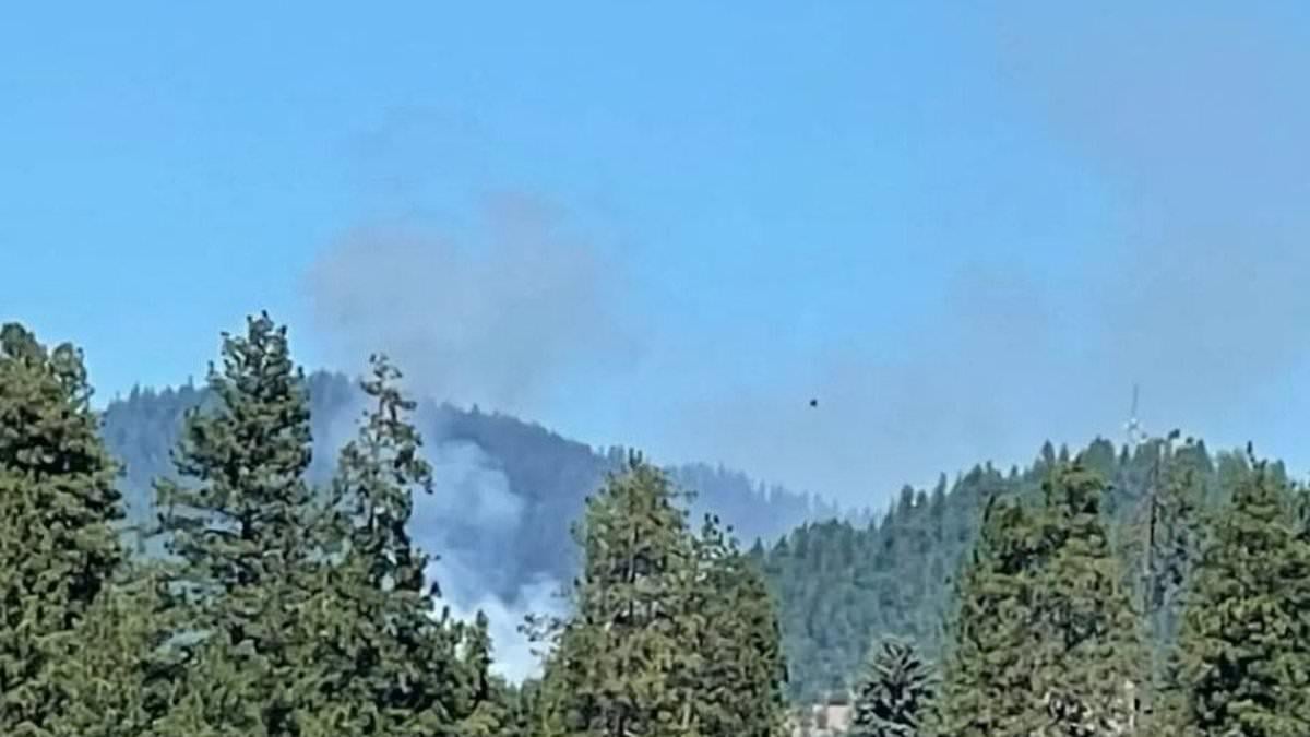 Coeur d'Alene firefighters and police injured in Idaho shooting ambush after suspect 'started blaze as bait'
