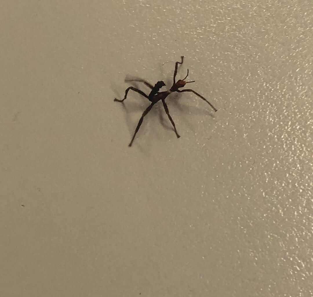 ?