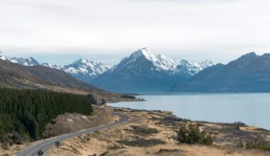 New Zealand racing bill amendment extends TAB monopoly online