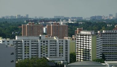 Singapore woman alleges brother pushes her down set of stairs in clash over $780,000 inheritance