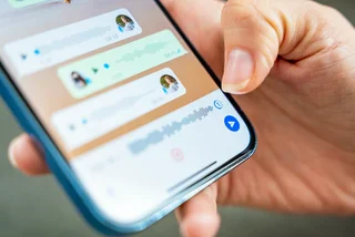 Photo: Shutterstock / Tatiana Diuvbanova